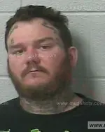 Booking photo of JAMES A WILSON, Marshall County, Jan 18, 2019