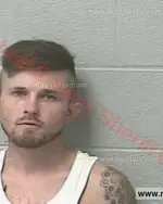 Booking photo of Harry Brandon Russell, Marshall County, May 3, 2017