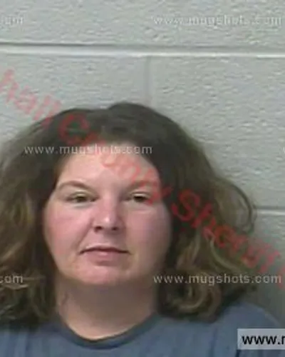 Booking photo of Tonya Fletcher, Marshall County, Feb 18, 2018