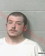 Booking photo of Jessie D. Lee Marshall, Marshall County, May 26, 2017