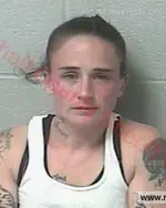 Booking photo of Leotie Nicole Kuhns, Marshall County, Dec 29, 2017