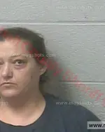 Booking photo of Lezli Renae Touchstone, Marshall County, Mar 17, 2016