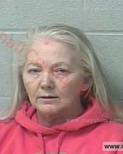 Booking photo of Lillian Cashion, Marshall County, Mar 7, 2018