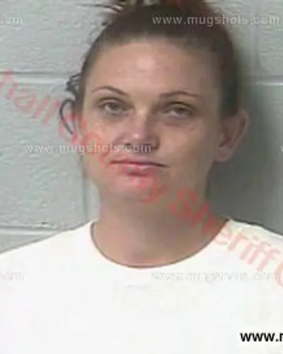 Booking photo of KRISTY Marie Rose WRIGHT, Marshall County, Nov 9, 2016