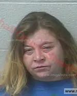 Booking photo of Elizabeth Sue Daniels, Marshall County, Jan 9, 2017