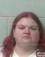 Booking photo of Amanda Lynn Sanders, Marshall County, Nov 16, 2017