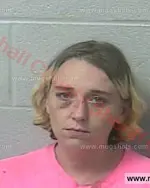 Booking photo of Ashley Nicole Wiles, Marshall County, Oct 9, 2017