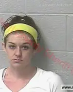 Booking photo of Robin Marie Coyle, Marshall County, Nov 4, 2017