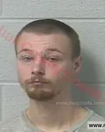 Booking photo of Brandon Lawrence Taylor, Marshall County, Mar 24, 2018