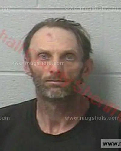 Booking photo of Bryan Freeman, Marshall County, Jun 2, 2018