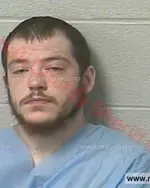 Booking photo of Jessie D. Lee Marshall, Marshall County, Mar 28, 2018