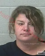 Booking photo of Lora Lynne Johnson, Marshall County, Dec 11, 2016
