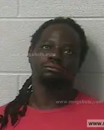 Booking photo of Blake Deshawn Reynolds, Marshall County, Nov 19, 2019