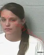 Booking photo of STEPHANIE MICHELLE LEE, Marshall County, Nov 12, 2016