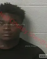 Booking photo of RICHARD DAVID ALLEN Jr., Marshall County, Jun 6, 2016