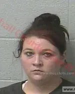 Booking photo of Michelle Lynn Taylor, Marshall County, Nov 13, 2017