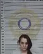 Booking photo of Tashia Wilson, McMinn County, Feb 18, 2026