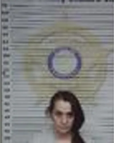Booking photo of Tashia Wilson, McMinn County, Feb 18, 2026