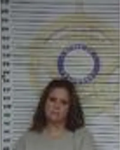 Booking photo of Rhonda Pilkey, McMinn County, Nov 23, 2025