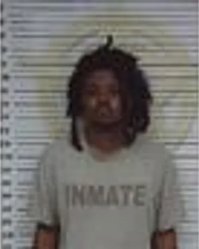 Booking photo of Marvyce Madden, McMinn County, Apr 2, 2025