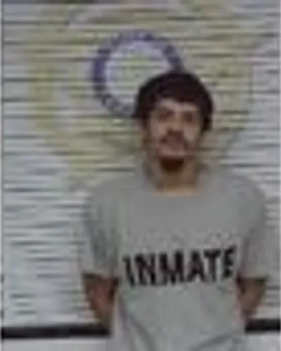 Booking photo of Elijah Richard Lee Ferguson, McMinn County, Jun 3, 2025