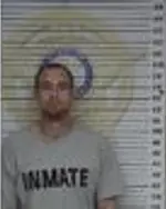 Booking photo of Stephen D Ingram, McMinn County, Apr 8, 2025