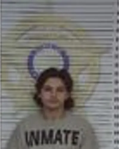 Booking photo of Damien King, McMinn County, Nov 28, 2025