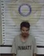 Booking photo of Carrie Burson, McMinn County, Oct 17, 2025