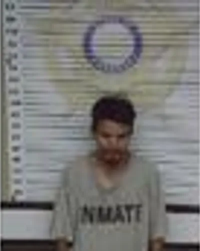 Booking photo of Carrie Burson, McMinn County, Oct 17, 2025