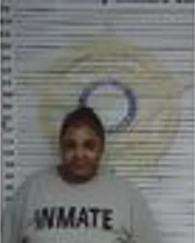 Booking photo of Shereece Mcbride, McMinn County, Feb 12, 2026