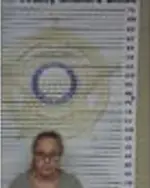 Booking photo of LEEANN DAWN WALKER, McMinn County, Jan 14, 2026