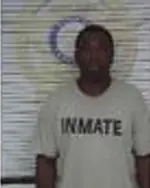 Booking photo of Andra Canidate, McMinn County, Apr 15, 2025