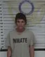 Booking photo of MELISSA WAYNE LEE, McMinn County, Apr 23, 2025