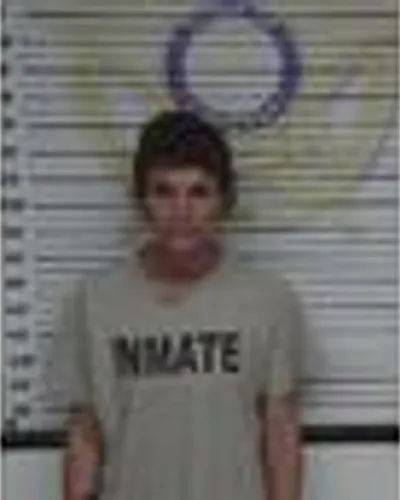 Booking photo of MELISSA LEE, McMinn County, Apr 23, 2025