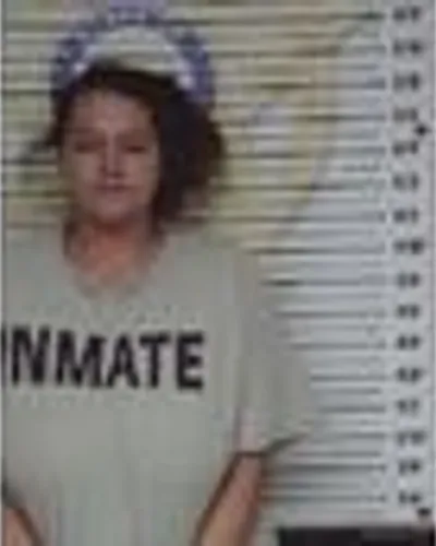 Booking photo of Lisa Wilcox, McMinn County, Aug 25, 2025