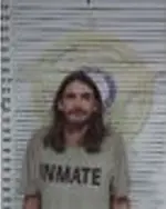 Booking photo of MELISSA WAYNE LEE, McMinn County, Dec 15, 2025