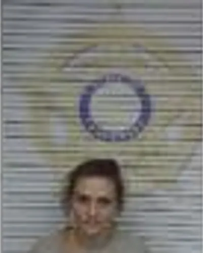 Booking photo of Artishia Hamilton, McMinn County, Nov 28, 2025