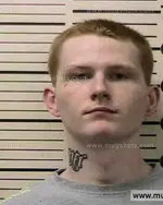 Booking photo of BRADLEY JOE BROWN, Polk County, Jun 28, 2016