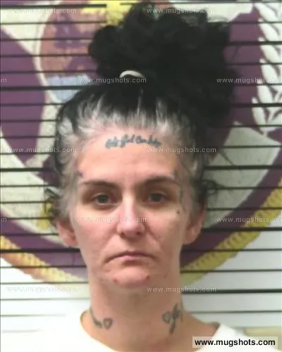 Booking photo of Desiree Cahill, Polk County, Sep 6, 2017