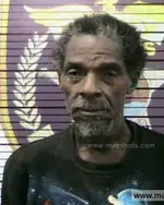 Booking photo of Robert Mcewen Brooks, Polk County, Jun 28, 2016