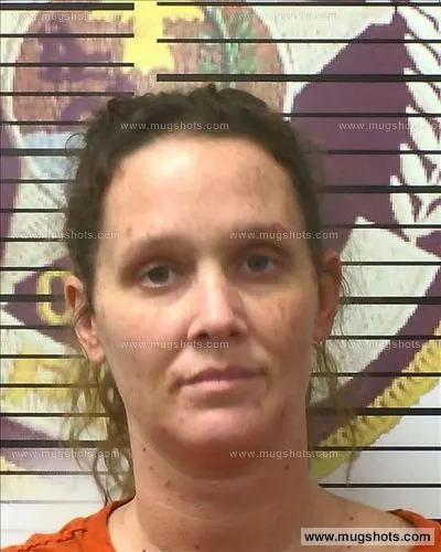 Most recent booking photo for Lisa Cross