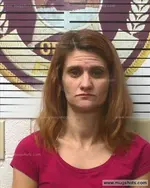 Booking photo of Somer Brocksmith, Polk County, Nov 25, 2019