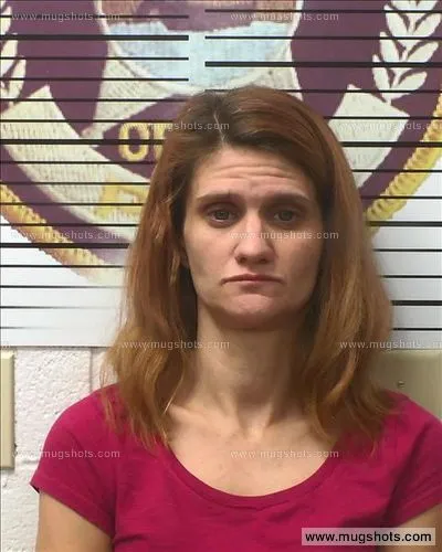 Most recent booking photo for Somer Brocksmith