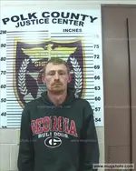 Booking photo of JEREMY LEON BURROW, Polk County, Jun 28, 2016