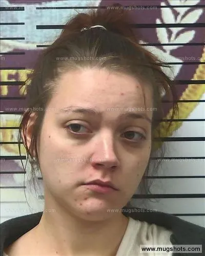 Booking photo of Brittany Breazeale, Polk County, Dec 18, 2017