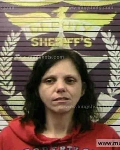 Booking photo of Bridget Beavers, Polk County, Jun 28, 2016