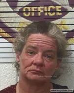 Booking photo of Shelia Brown, Polk County, Dec 12, 2017