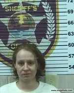 Booking photo of Sarah Francis Brewer, Polk County, Jun 28, 2016