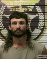 Booking photo of Stacy Darlene Adams, Polk County, Jun 28, 2016