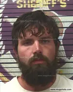 Booking photo of Louis Brown, Polk County, Jun 12, 2017